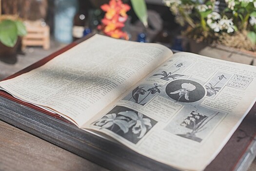 Биологи хотят создать общий атлас всех живых существ на Земле