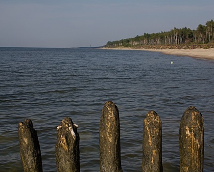 Власти: в летний сезон увеличится турпоток в регион из Калуги