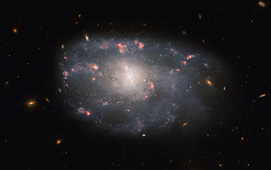 «Хаббл» сделал снимок неправильной спиральной галактики