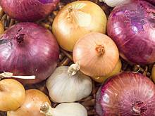 Суд назвал отказ жены от лука и чеснока жестокостью по отношению к мужу