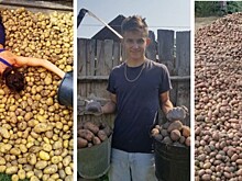 Бульба либре: в России началась картофельная лихорадка. Репортаж из Instagram