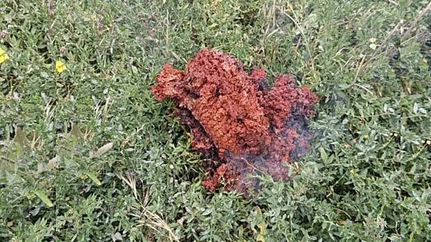 Загадочный красный объект упал во дворе дома в Болгарии