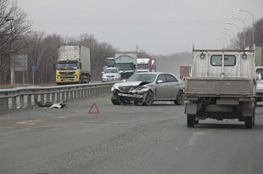 50 нетрезвых водителей на дорогах края выявлено за одну ночь