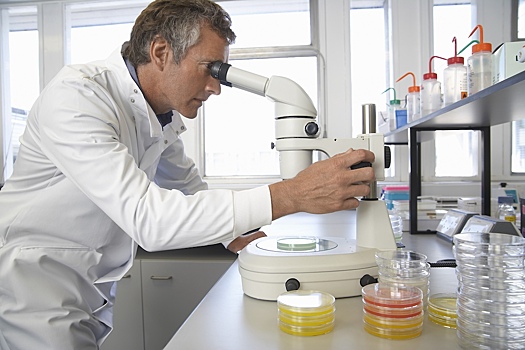 Выявлены неожиданные корни переселенцев бронзового века в Британии