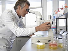 Выявлены неожиданные корни переселенцев бронзового века в Британии