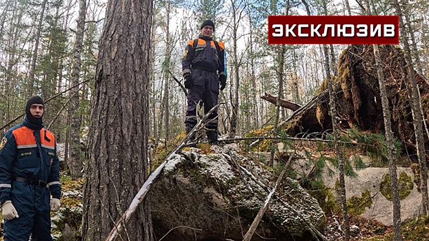 Сын Усольцевых предположил, что семья может укрываться в лесу и есть ягоды