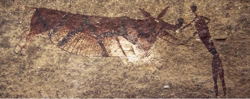 Ученые из Кембриджа раскрыли тайну «африканских единорогов»