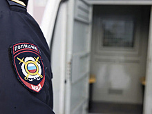 Жительница Надыма заплатит штраф за пьяное нападение на полицейского