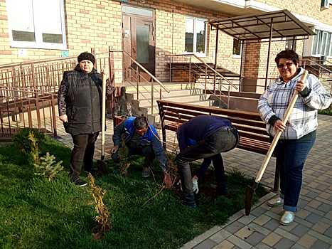 В городе прошла акция «Краснодару -10 000 деревьев»