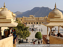 Вирусолог Зверев исключил вспышку вируса Нипах на территории России