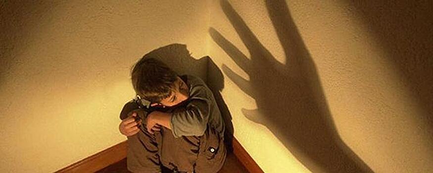 В Свердловской области подростки пытались изнасиловать ребёнка палкой и сбросить его в выгребную яму