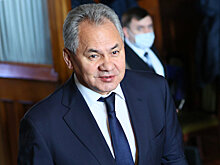 Шойгу провел консультации с коллегой из Бразилии