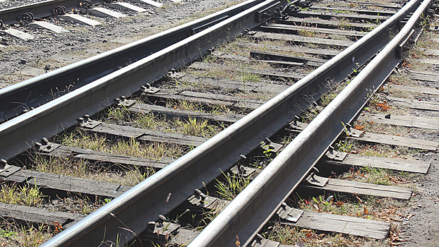 Пьяного молодого человека сбил грузовой поезд на Вологодчине 