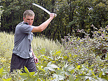 В Ростовской области заброшенные дачные участки вернут в оборот