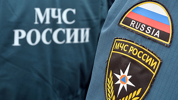 В Смоленской области обезвредили более 500 взрывоопасных предметов, найденных во ходе «Вахты памяти — 2019»
