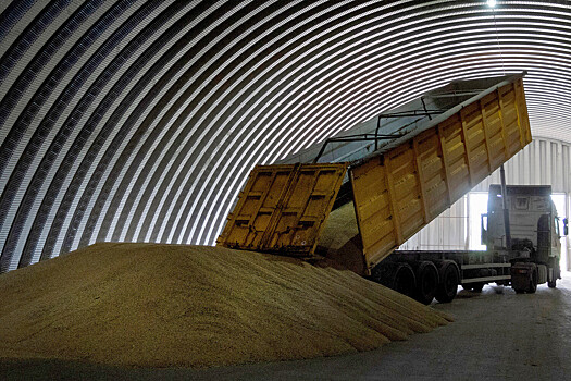 Польша хочет отдать часть ввезенного с Украины зерна в рамках гумпомощи