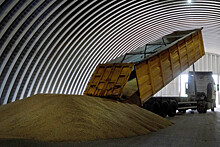 Румыния попросила ЕК продлить ограничения на импорт украинского зерна