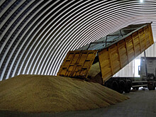 Польша хочет отдать часть ввезенного с Украины зерна в рамках гумпомощи
