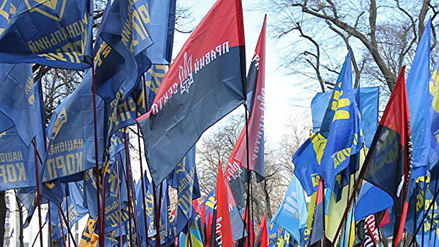 В Киеве националисты устроили акцию протеста