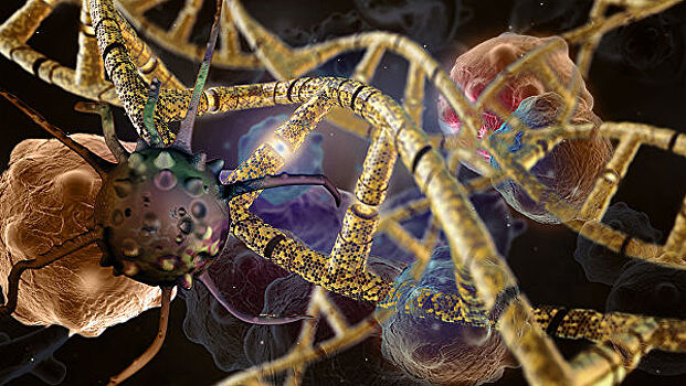 Ученые создали модель ДНК человека для исследования генетических патологий