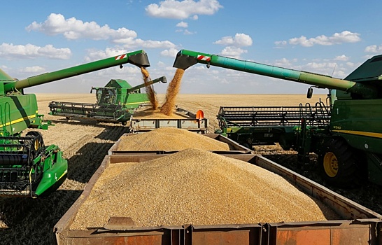 В России намолочено 124,7 млн тонн зерна