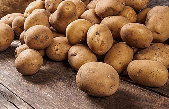 В Курганской области 1000 семей бесплатно получат семенной картофель