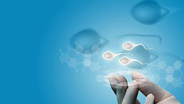 Ученые выяснили, как температура влияет на поведение сперматозоидов