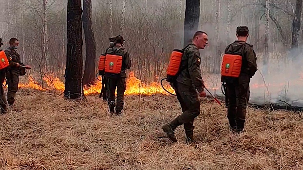 В ЦВО вдвое усилили группировку по тушению лесных пожаров в Тюменской области