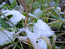 В Самарской области на дорогах ожидается гололедица и снежный накат