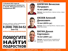 СК Кузбасса прокомментировал сообщение о прекращении поисков троих пропавших мальчиков