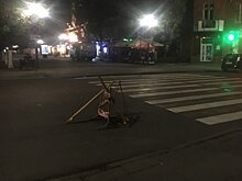 Чиновники отчитались о заделанном провале в центре Саратова