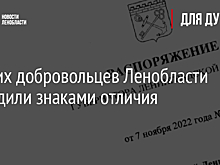 Лучших добровольцев Ленобласти наградили знаками отличия