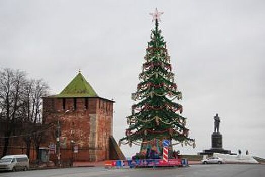 В Нижнем Новгороде появится новогодняя ель за 10 млн рублей