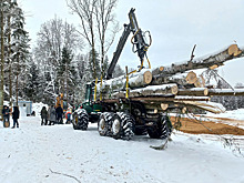 В Троицке жители бьются за лес, который вырубят под офисы и многополосную дорогу: Статьи экологии ➕1, 21.02.2022