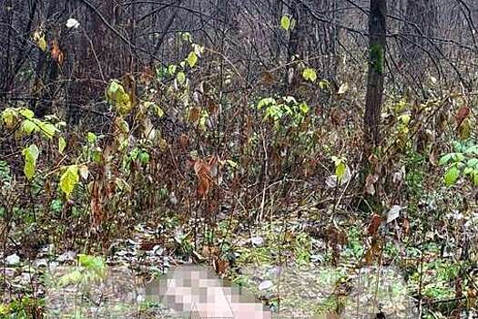 Baza: в парке Екатеринбурга нашли голую обезглавленную женщину