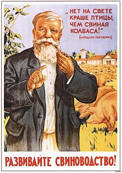 Каждая сосиска краковской колбасой себя ставит! О продукте сложены пословицы