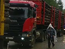 Мухенскую трассу лесозаготовители готовы содержать бесплатно