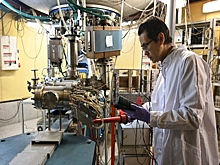 Место для офиса университета Ким Ир Сена ищут в новосибирском Академгородке