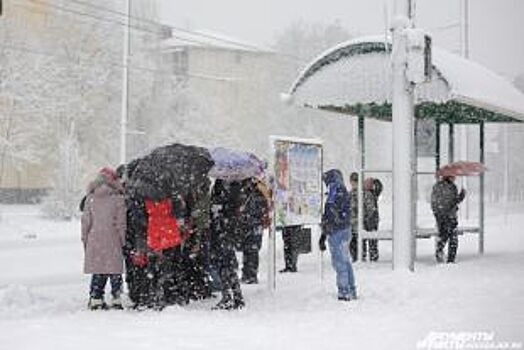 Метель ожидается в Ульяновске в ближайшие сутки