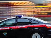 Против угрожавшей дочери на стримах россиянки Люциферовны возбудили дело