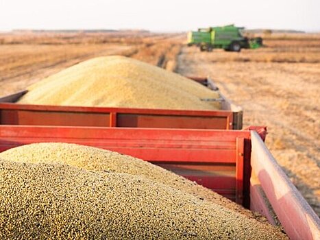 Китай введет дополнительные пошлины на сельхозпродукцию из США