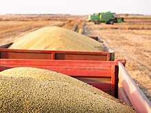 Китай введет дополнительные пошлины на сельхозпродукцию из США