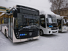 Сто автобусов с кондиционерами поступит в Новосибирск к Новому году