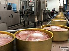 Салехардский комбинат готовится отцифровать производство