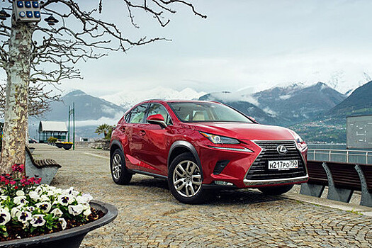 Lexus NX: хватит стесняться