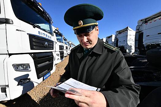 День таможенника в России в 2025 году: когда отмечают, история профессии, традиции праздника