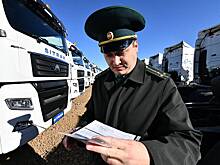 День таможенника в России в 2025 году: когда отмечают, история профессии, традиции праздника