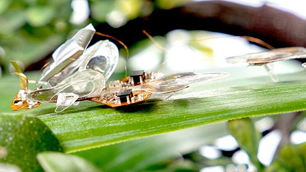 Ученые создали похожего на насекомое робота