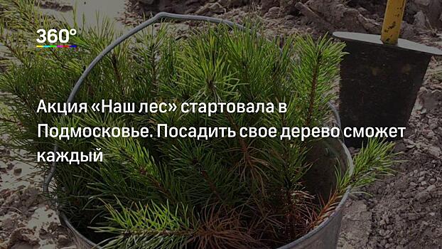 Ирина Роднина отметила важность акции «Наш лес» в Подмосковье