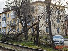 Ураганы и пожары. Как Сибирь пережила нашествие стихий